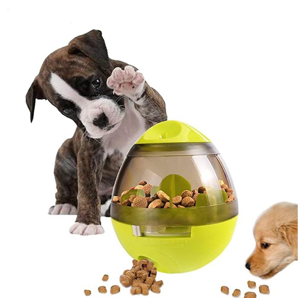 Water And Pet Food Bowl